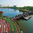 高陽市