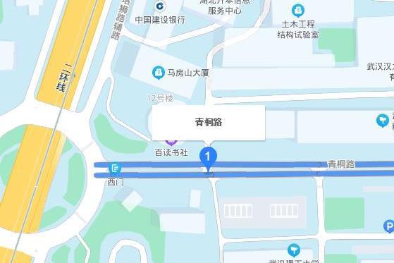青桐路(武漢市洪山區道路) 青桐路(武漢市洪山區道路)
