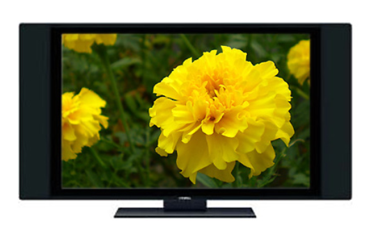 廈華LC-42HU27 廈華LC-42HU27