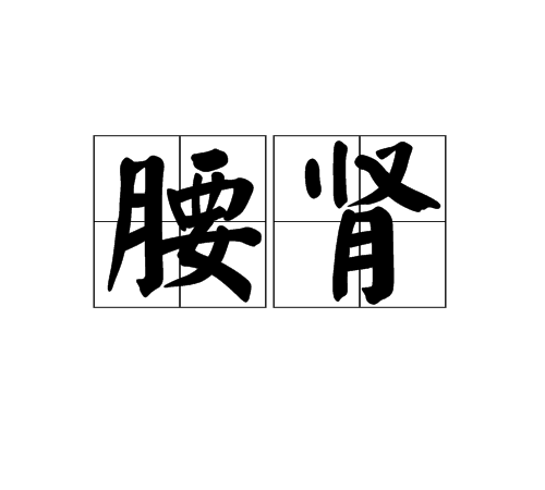 腰腎 腰腎