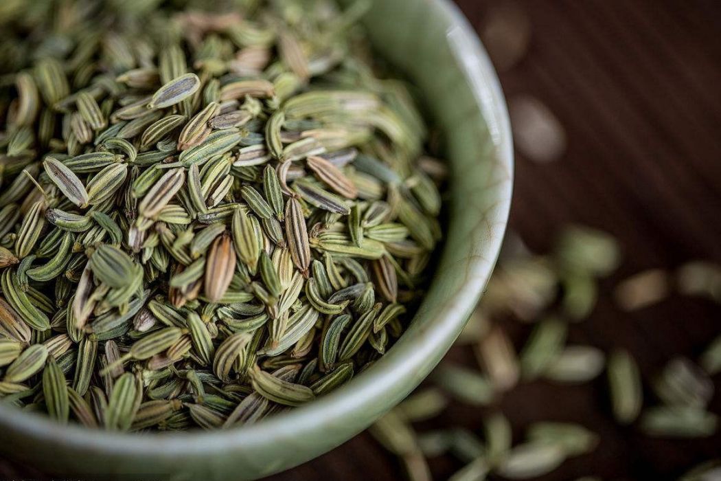 茴香煮散(中藥方劑) 茴香煮散(中藥方劑)