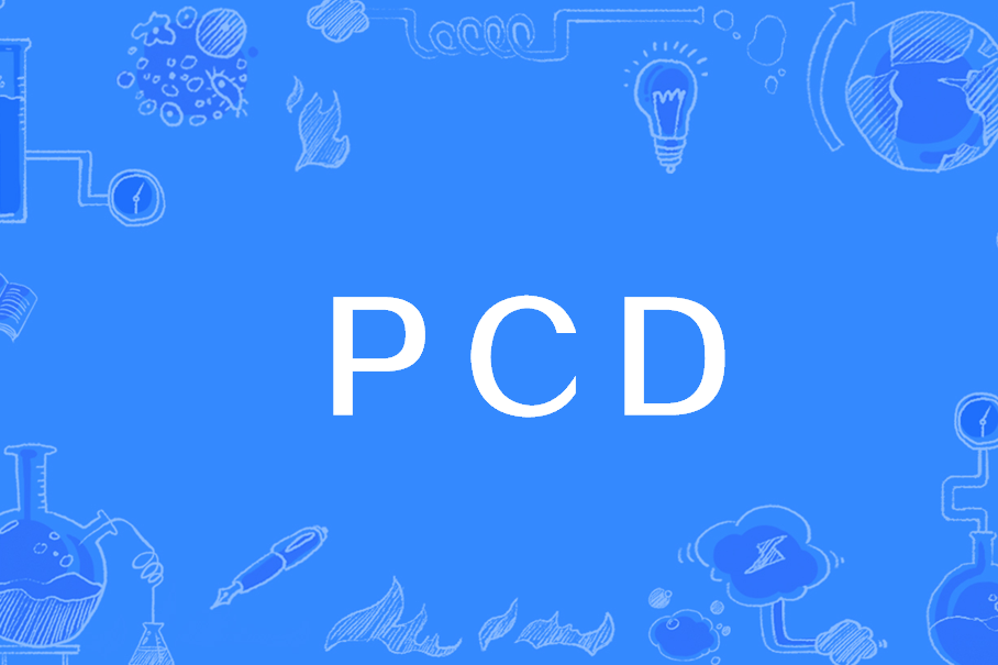 PCD(存儲格式) PCD(存儲格式)