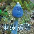 藍瘦，香菇