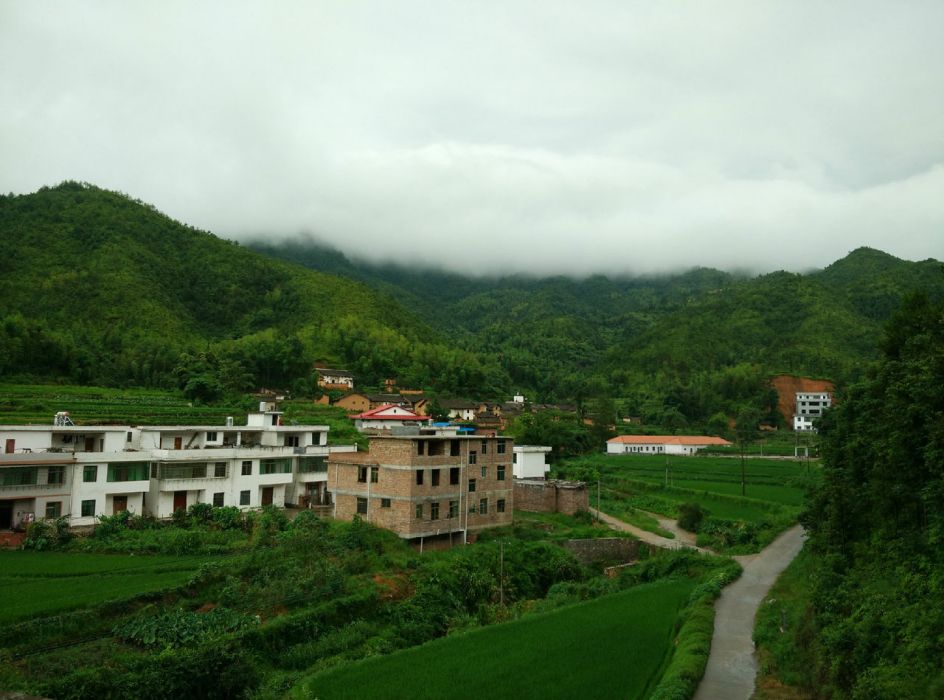 維源村 維源村