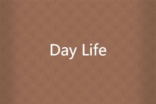 Day Life Day Life