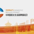 中國自主品牌峰會