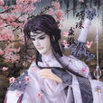 明珠求瑕