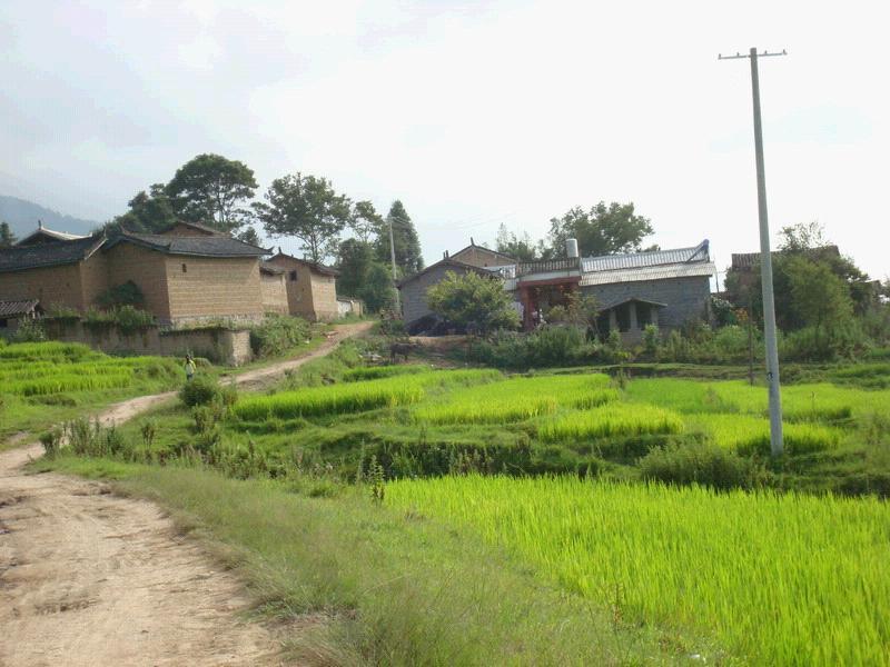 芒面村(雲南省德宏州隴川縣戶撒鄉明社行政村下轄村) 芒面村(雲南省德宏州隴川縣戶撒鄉明社行政村下轄村)