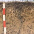 栗鈣土 栗鈣土