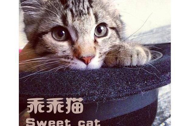 100瓦燈泡 100瓦燈泡
