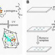 分子印跡技術(分子印跡) 分子印跡技術(分子印跡)