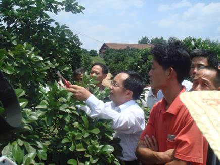 南康市果業局 南康市果業局