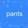 pants(英文單詞) pants(英文單詞)