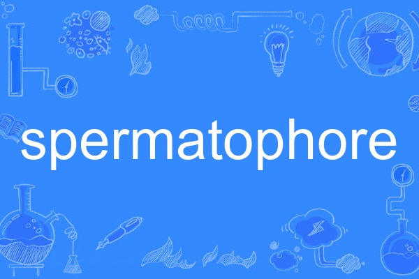 spermatophore spermatophore