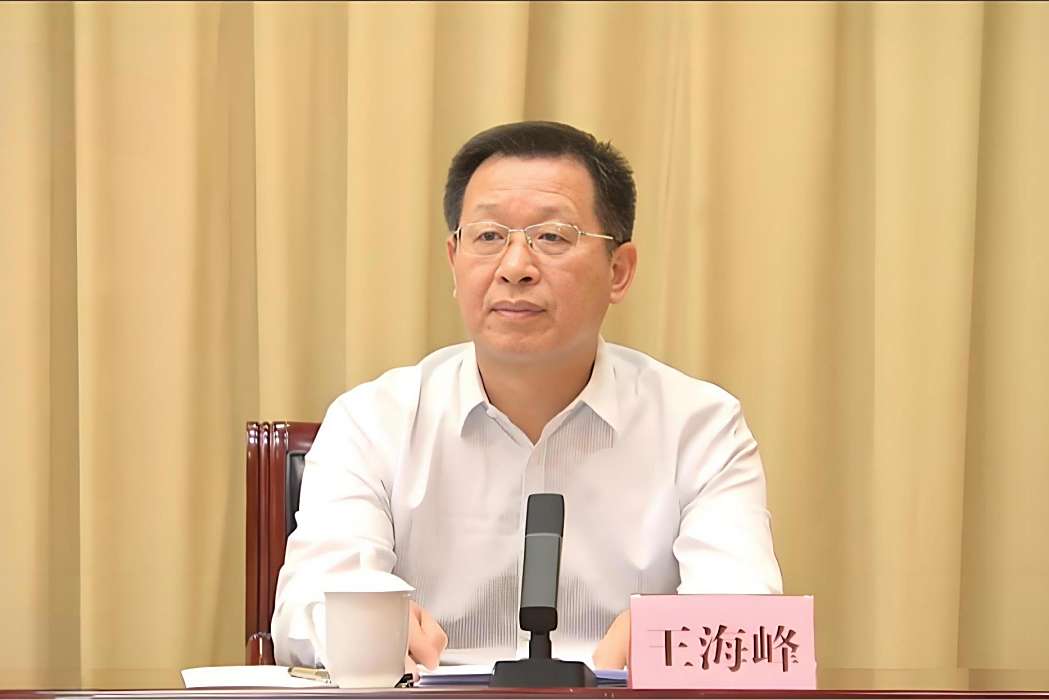 王海峰(中央第十五巡視組領導) 王海峰(中央第十五巡視組領導)