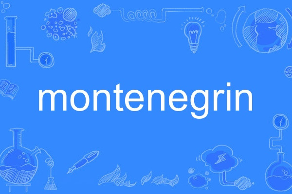 montenegrin montenegrin