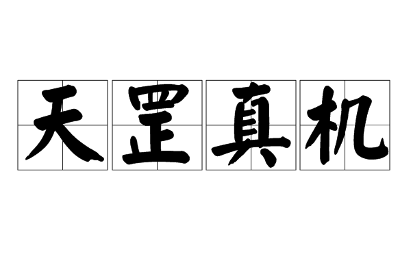 天罡真機 天罡真機