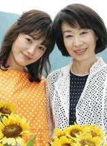 仲間由紀惠 仲間由紀惠