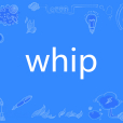 whip(英文單詞)