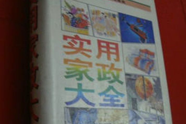 家政大全 家政大全