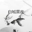 白城黑夜 白城黑夜