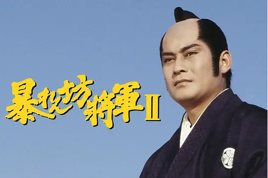 胡鬧將軍 II 胡鬧將軍 II