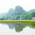 穿岩(衡山穿岩風景區) 穿岩(衡山穿岩風景區)