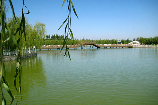 雷澤湖
