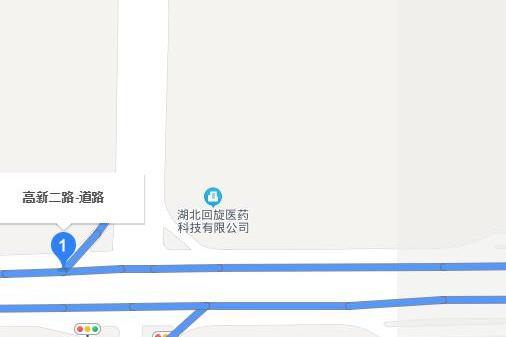 高新二路(湖北省武漢市東湖新技術開發區境內道路) 高新二路(湖北省武漢市東湖新技術開發區境內道路)