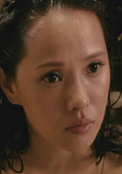 回馬槍(2011年李遠執導電影)