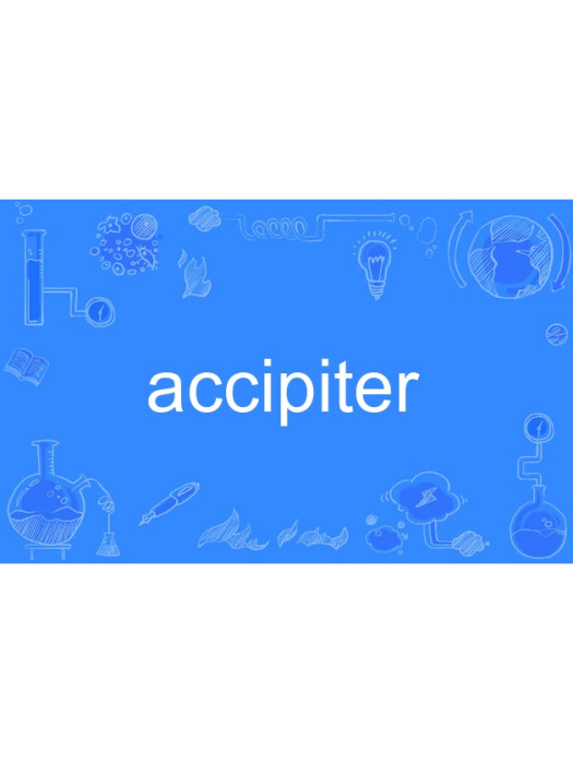 accipiter accipiter