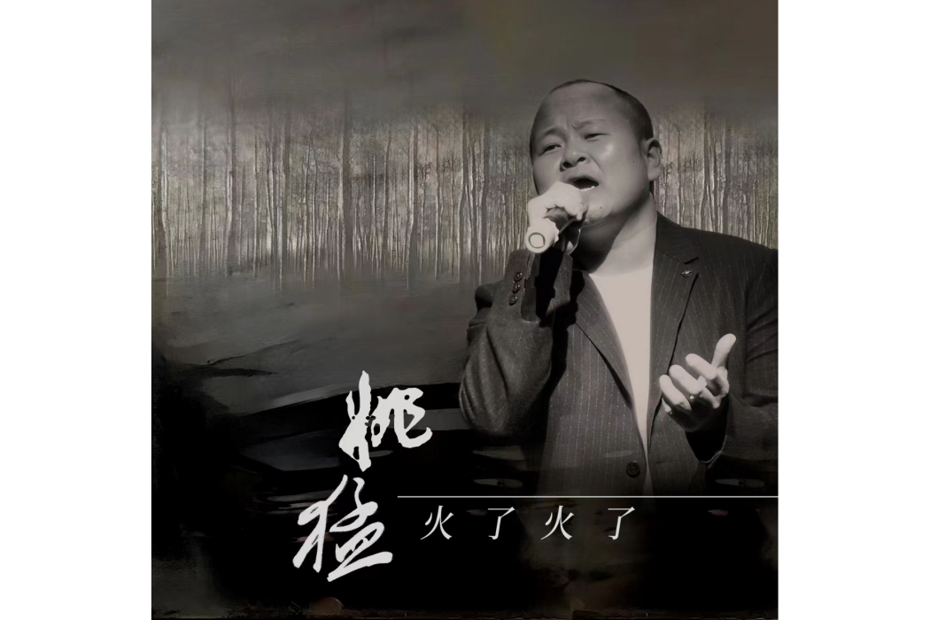 火了火了(姚猛演唱的歌曲)