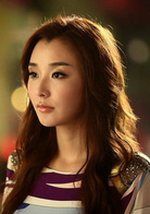 華麗一族(中國2013年李欣汝、高以翔主演電視劇)