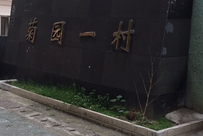 菊園一村 菊園一村