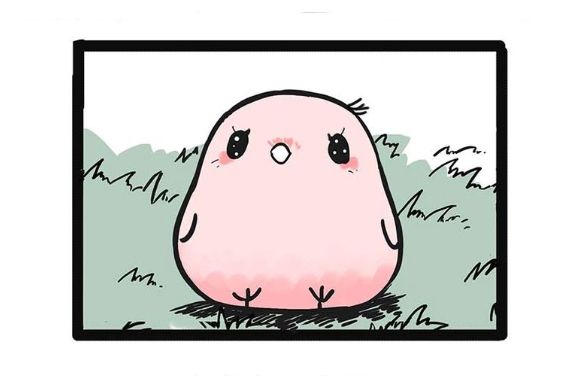 小粉鳥 小粉鳥