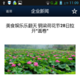 銅梁娛樂 銅梁娛樂