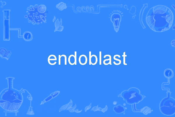 endoblast endoblast