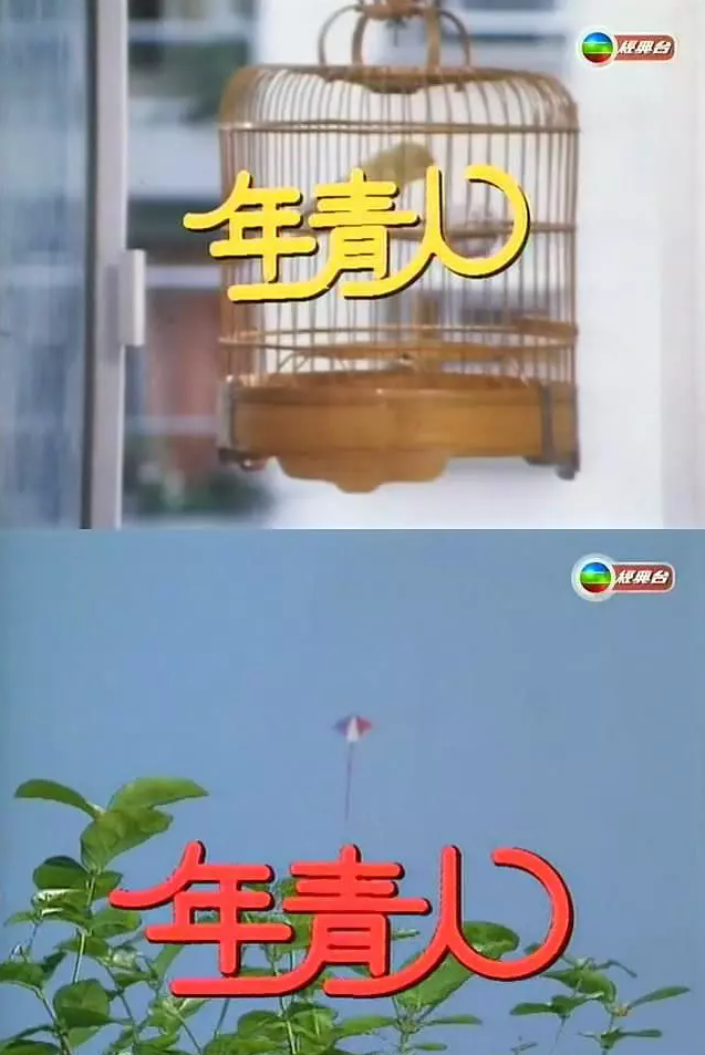 年青人(1977年TVB電視劇)
