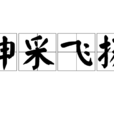 神采飛揚(詞語釋義) 神采飛揚(詞語釋義)