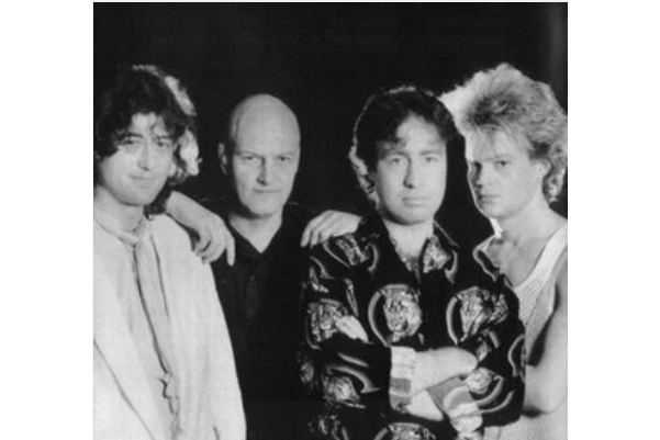 The Firm The Firm