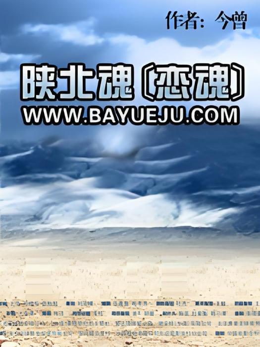 陝北魂 陝北魂