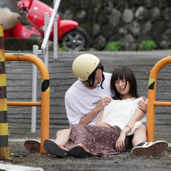 夏日共犯者