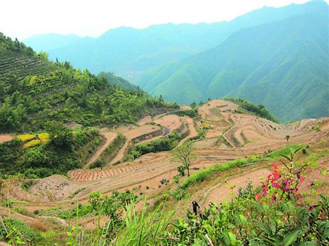 小白山村(雲南省楚雄市子午鎮杞木村委會小白山村(.)) 小白山村(雲南省楚雄市子午鎮杞木村委會小白山村(.))
