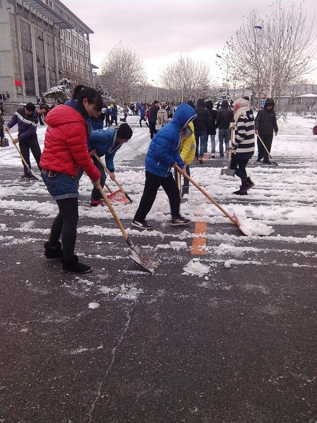 動畫2013級掃雪活動