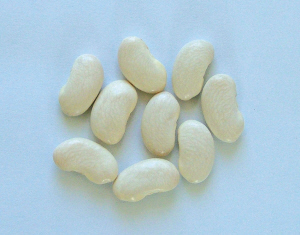 原料·白扁豆