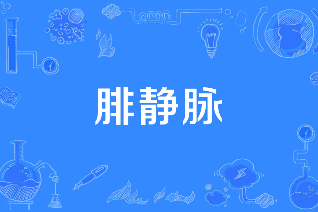 腓靜脈 腓靜脈