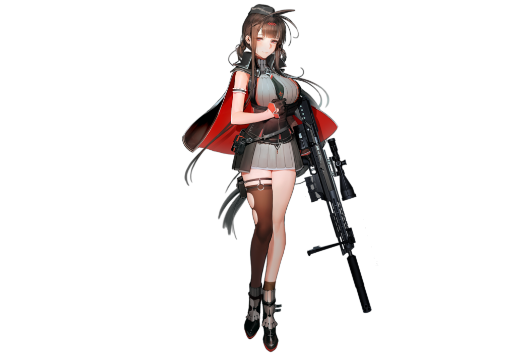 DSR-50 DSR-50