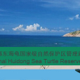 廣東惠東港口海龜國家級自然保護區(惠東港口海龜自然保護區)