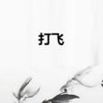 打飛 打飛