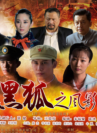 王澤霖(中國內地男演員)